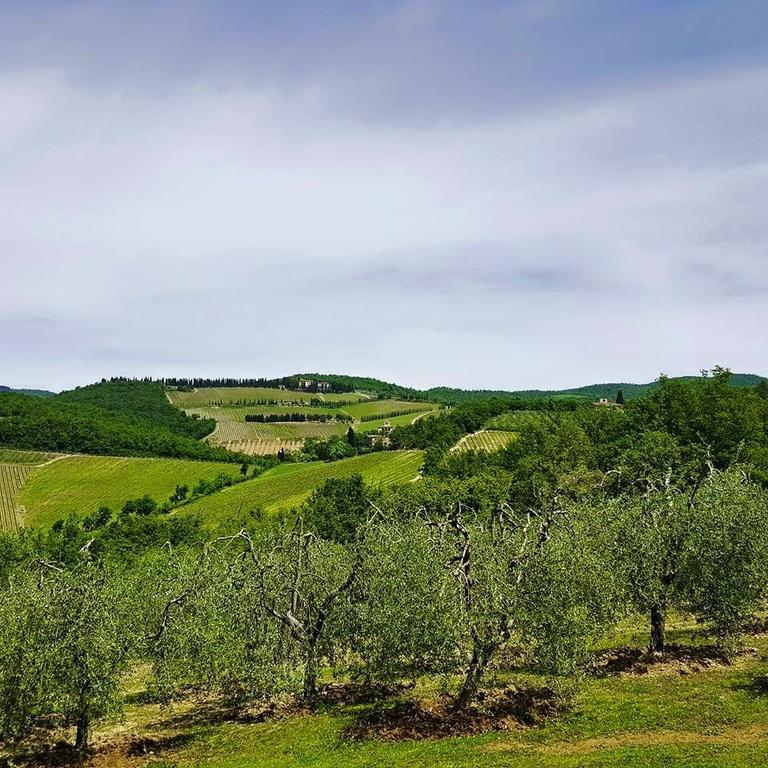 Holiday House Le Selvole Radda in Chianti Quarto foto