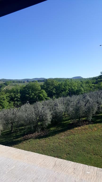 Holiday House Le Selvole Radda in Chianti Exterior foto