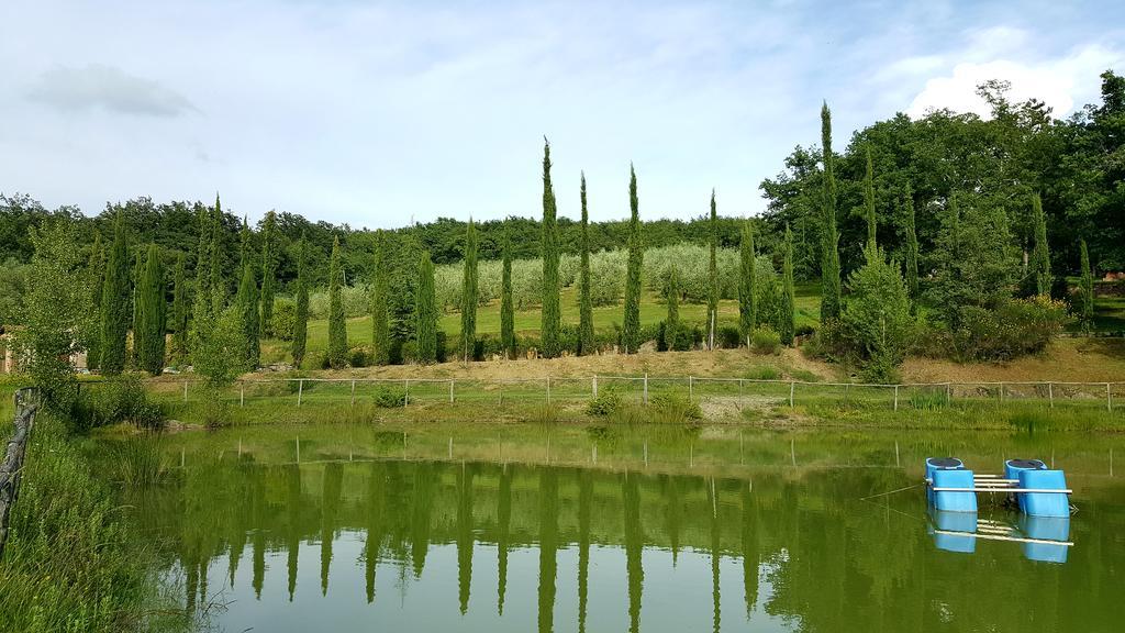 Holiday House Le Selvole Radda in Chianti Exterior foto